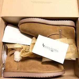Brand New In Box kookaburra by Ugg Victoria mini sz 5